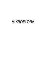Referāts 'Mikroflora', 1.