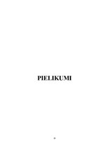Referāts 'Sabiedrības informētība par autismu', 20.