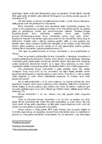 Eseja 'Protekcionisms un brīvā tirdzniecība', 3.