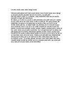 Eseja 'Latviešu valoda - mūsu valsts vienīgā valoda', 1.