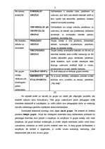 Referāts 'Grupu darba izmantošana komercdarbiniekiem', 5.