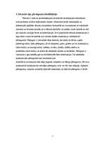 Referāts 'Tērauda siju pārsegumi', 3.