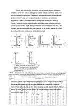 Referāts 'Tērauda siju pārsegumi', 5.