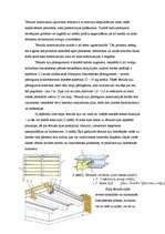 Referāts 'Tērauda siju pārsegumi', 7.