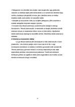 Referāts 'Tērauda siju pārsegumi', 12.