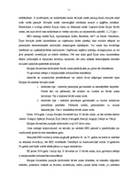 Referāts 'Brīvās ekonomiskās zonas', 11.