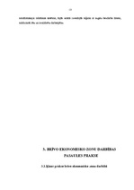 Referāts 'Brīvās ekonomiskās zonas', 12.