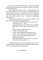 Referāts 'Brīvās ekonomiskās zonas', 17.