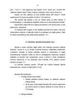 Referāts 'Brīvās ekonomiskās zonas', 24.