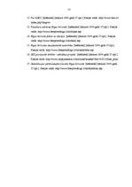 Referāts 'Brīvās ekonomiskās zonas', 33.