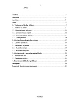 Referāts 'Transformālā līderība', 2.