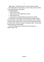 Referāts 'Transformālā līderība', 3.