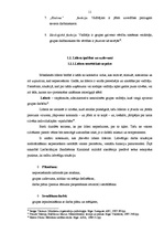 Referāts 'Transformālā līderība', 11.