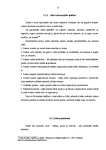 Referāts 'Transformālā līderība', 13.