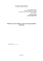 Referāts 'Projekta pieteikums. Smiltenes novada medicīnas vēstures muzeja pieejamības veic', 1.