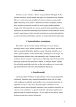 Referāts 'Projekta pieteikums. Smiltenes novada medicīnas vēstures muzeja pieejamības veic', 4.