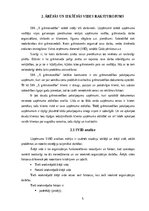 Prakses atskaite 'Profesionālās prakses pārskats', 5.