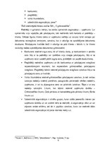 Prakses atskaite 'Profesionālās prakses pārskats', 6.