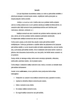 Referāts 'Iekšējo normatīvo aktu tiesiskie aspekti pašvaldībās', 3.