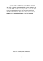 Referāts 'Iekšējo normatīvo aktu tiesiskie aspekti pašvaldībās', 17.