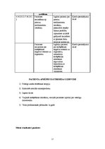 Prakses atskaite 'Aprūpes gadījums ķirurģijā', 17.