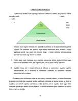 Biznesa plāns 'Biznesa plāns uzņēmumam "M"', 10.