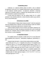 Biznesa plāns 'Biznesa plāns uzņēmumam "M"', 18.