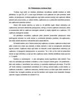 Biznesa plāns 'Biznesa plāns uzņēmumam "M"', 19.