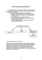 Prakses atskaite 'Kvalifikācijas prakse personālvadībā un grāmatvedībā', 4.