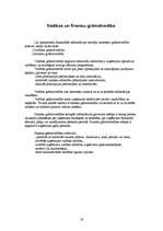 Prakses atskaite 'Kvalifikācijas prakse personālvadībā un grāmatvedībā', 19.