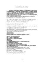 Prakses atskaite 'Kvalifikācijas prakse personālvadībā un grāmatvedībā', 41.