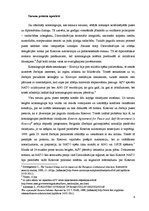 Referāts 'Rambouillet agreement sarunu procesa analīze', 4.