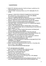 Referāts 'Rambouillet agreement sarunu procesa analīze', 15.