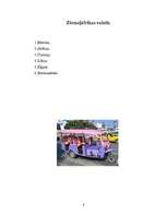 Referāts 'Ziemeļāfrikas iedzīvotāji', 6.