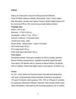 Referāts 'Ziemeļāfrikas iedzīvotāji', 7.