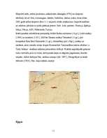 Referāts 'Ziemeļāfrikas iedzīvotāji', 11.