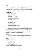 Referāts 'Ziemeļāfrikas iedzīvotāji', 16.