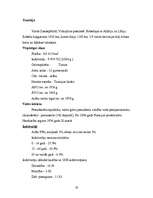 Referāts 'Ziemeļāfrikas iedzīvotāji', 19.