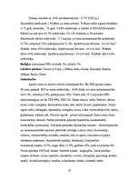 Referāts 'Ziemeļāfrikas iedzīvotāji', 20.