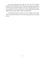 Referāts 'Franču impresionisti ainavisti', 17.