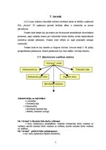 Paraugs 'Ražošanas prakses atskaite', 3.