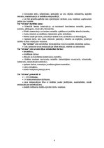 Paraugs 'Ražošanas prakses atskaite', 4.