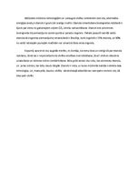 Eseja 'Etanola ražošana - par vai pret', 2.
