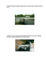 Referāts 'Notekūdeņi un notekūdeņu radītais piesārņojums Daugavas baseinā', 14.