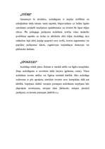 Referāts 'Saskarsme - viens no mācību un audzināšanas priekšnosacījumiem', 5.