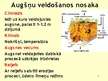 Prezentācija 'Augsne', 3.