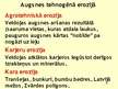 Prezentācija 'Augsne', 40.