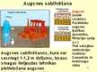 Prezentācija 'Augsne', 42.
