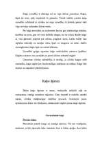 Referāts 'Kaķi', 5.