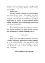 Referāts 'Kaķi', 7.